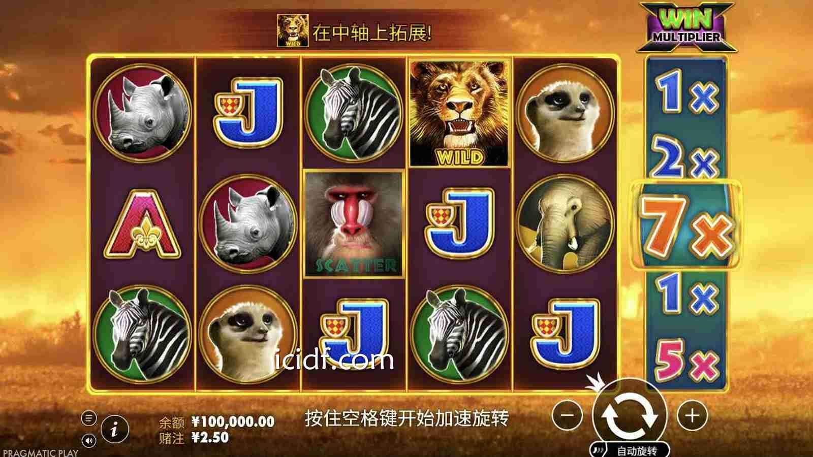 球速体育 | 《野生动物园》游戏主盘面