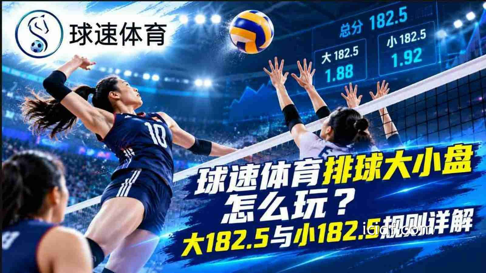 球速体育排球大小盘怎么玩？大182.5与小182.5规则详解
