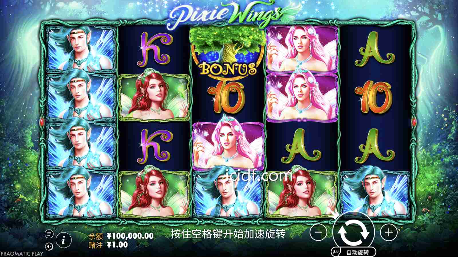 球速体育 | PP电子《精灵翅膀》游戏界面